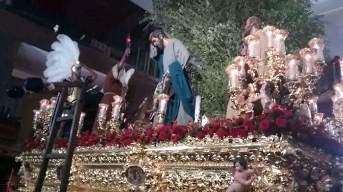 Robo de un olivo en la Santa Iglesia de los Panaderos en Sevilla